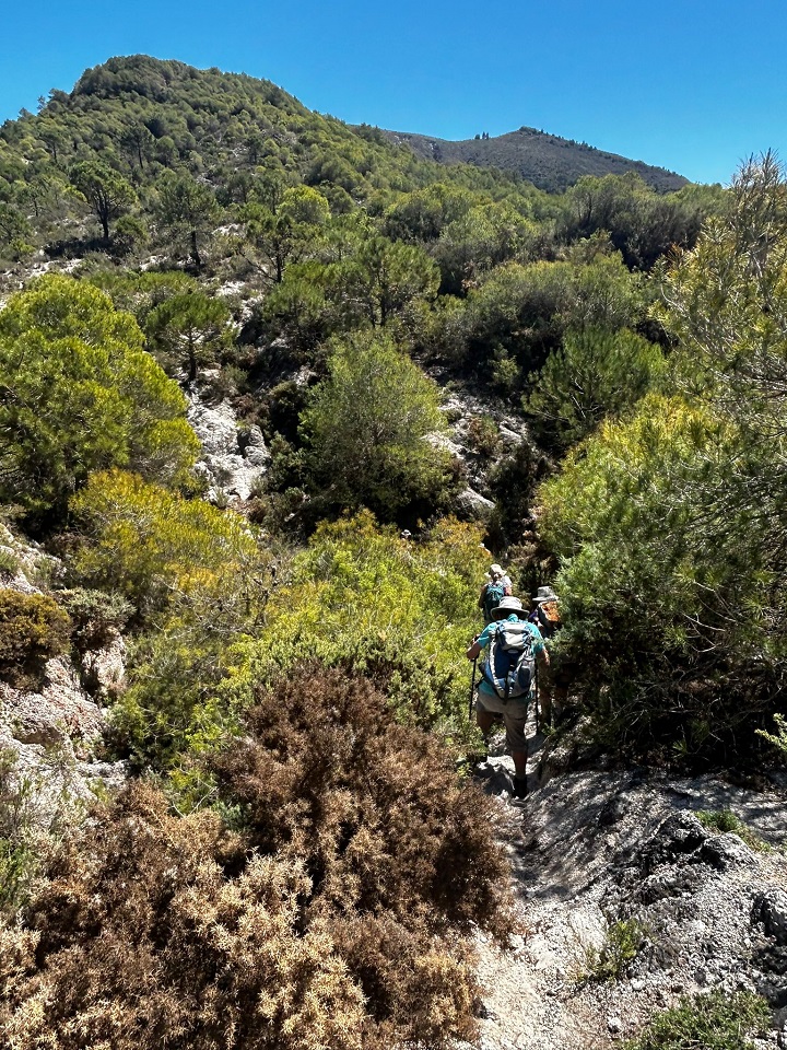 Andalucia2023 7 TrickyAscent