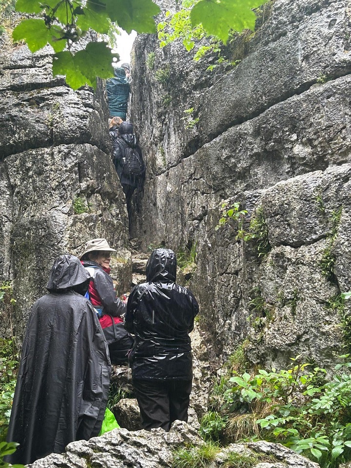Arnside2023 5 ClimbingTheFaireySteps